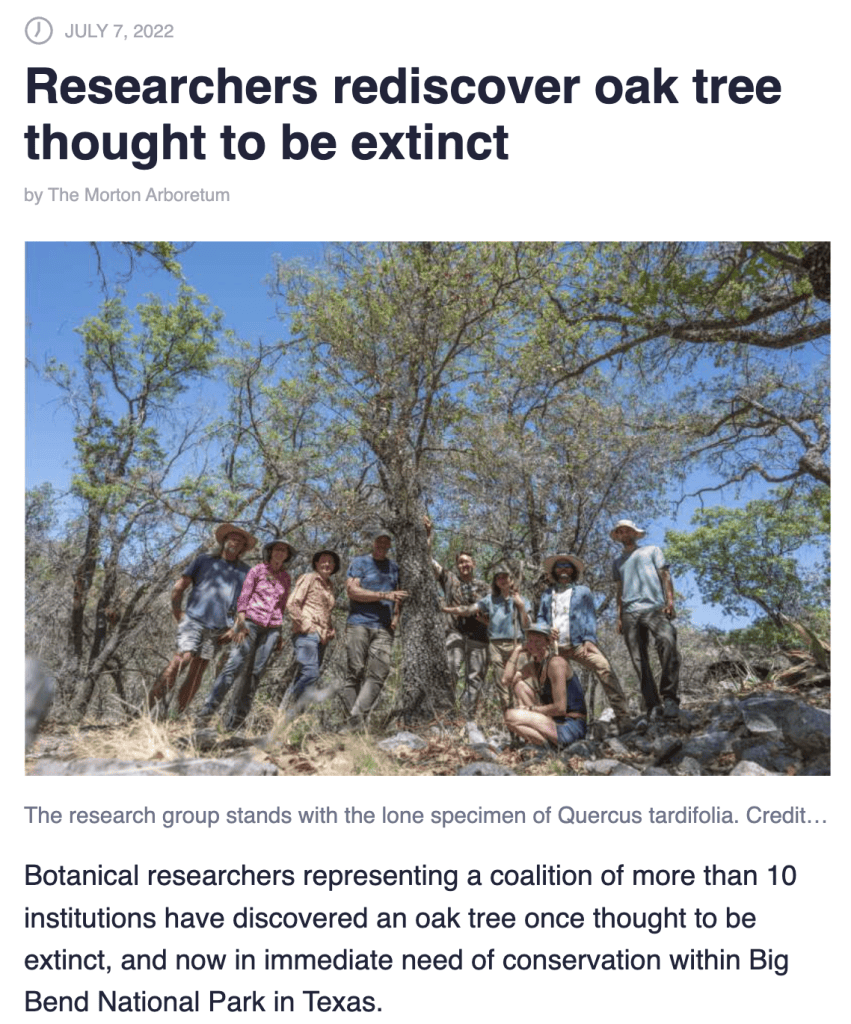 Field team gathered around a rediscovered Quercus tardifolia in Big Bend National Park